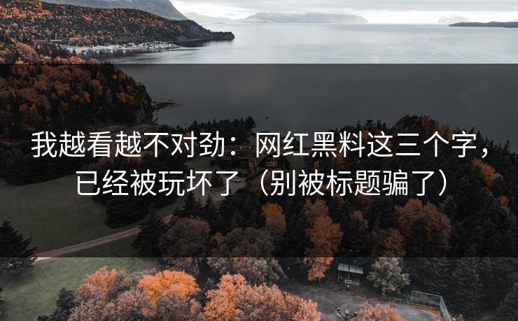 我越看越不对劲:网红黑料这三个字,已经被玩坏了(别被标题骗了) 我越看越不对劲:网红黑料这三个字,已经被玩坏了(别被标题骗了)