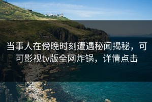 当事人在傍晚时刻遭遇秘闻揭秘，可可影视tv版全网炸锅，详情点击