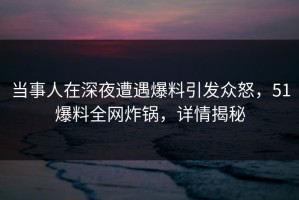 当事人在深夜遭遇爆料引发众怒，51爆料全网炸锅，详情揭秘