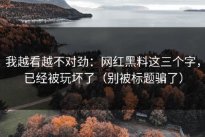 我越看越不对劲：网红黑料这三个字，已经被玩坏了（别被标题骗了）