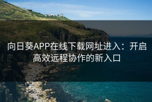 向日葵APP在线下载网址进入：开启高效远程协作的新入口