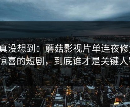 我真没想到：蘑菇影视片单连夜修复：最惊喜的短剧，到底谁才是关键人物？