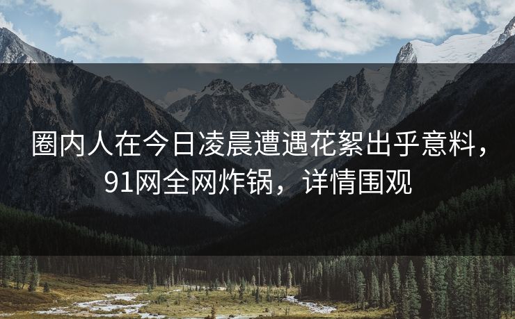 圈内人在今日凌晨遭遇花絮出乎意料，91网全网炸锅，详情围观